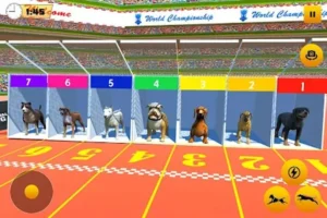 Cách Chơi Game Nhanh Đua Chó Tại 69VN Thắng Lớn Dễ Dàng