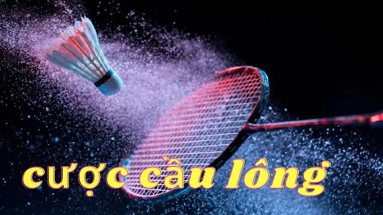 Cách Chơi Cá Cược Cầu Lông Tại 69VN Thắng Lớn 2025