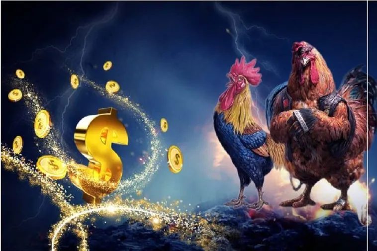 Hướng Dẫn Cách Chơi Đá Gà WS168 Tại 69VN Hấp Dẫn Nhất