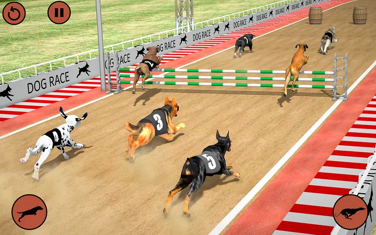 Cách Chơi Game Nhanh Đua Chó Tại 69VN Thắng Lớn Dễ Dàng
