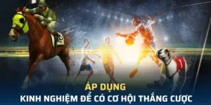 Tìm Hiểu Cá Cược Thể Thao Ảo 69VN Đầy Kịch Tính 2025