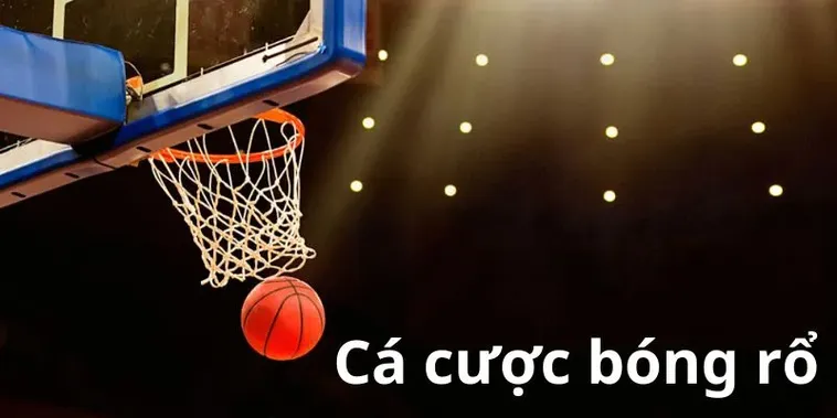Tìm Hiểu Cá Cược Bóng Rổ 69VN Cơ Hội Vàng Thắng Lớn
